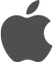 Apple icon