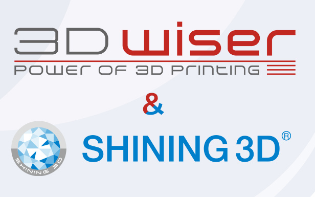 3Dwiser