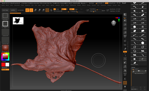 Modelo 3D de la hoja de arce en Zbrush Modelo 3D de la hoja de arce en Zbrush