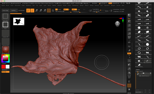 Modelo 3D de la hoja de arce en Zbrush