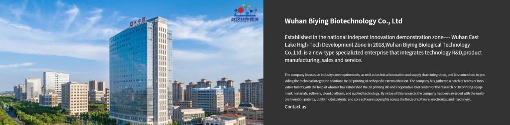 About Wuhan Biying